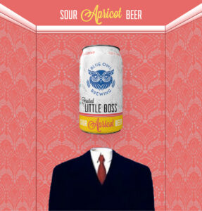 Sour Beer flyer